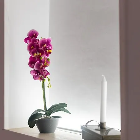 Virginia فندق مبيت وإفطار